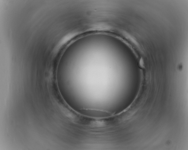 X0000092111315200709191320