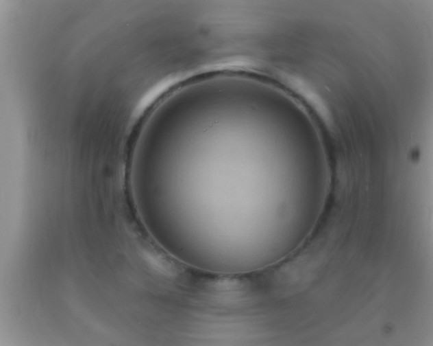 X0000092111316200709191320