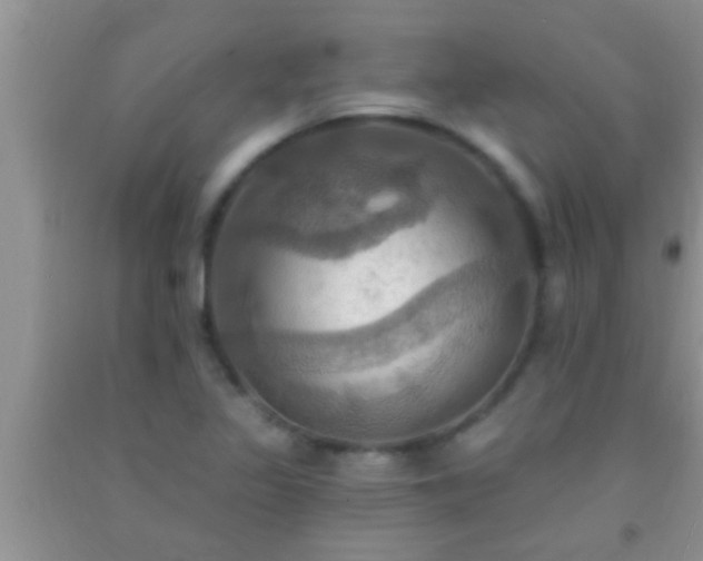 X0000092111317200709191320