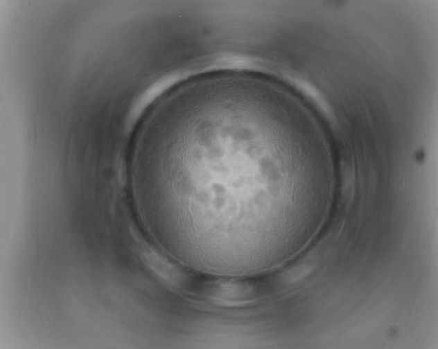 X0000092111318200709191320