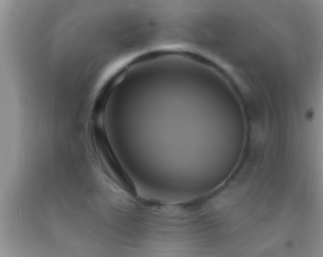 X0000092111319200709191320