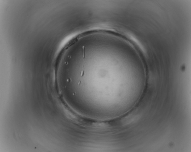 X0000092111320200709191320