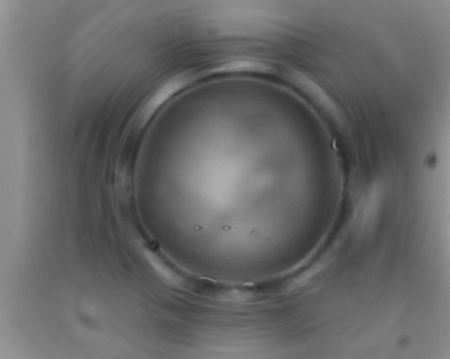 X0000092111321200709191320