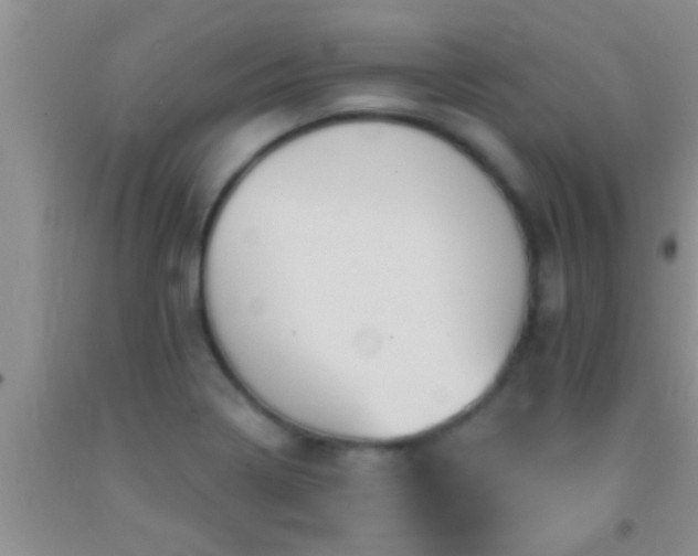 X0000092111322200709191320