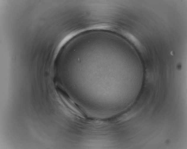 X0000092111324200709191320