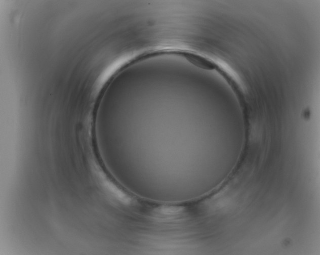 X0000092111325200709191320