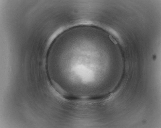 X0000092111326200709191320