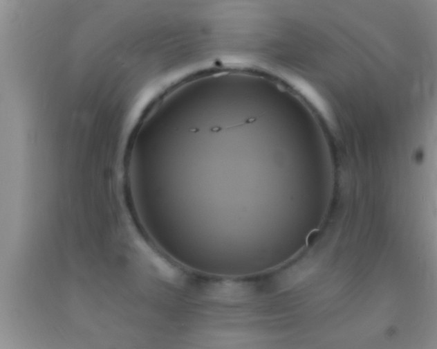 X0000092111327200709191320