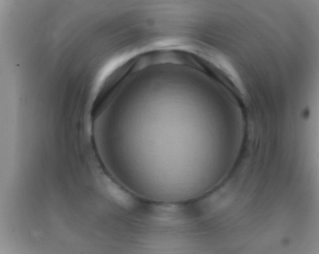 X0000092111328200709191320