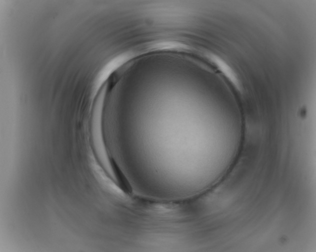 X0000092111330200709191320