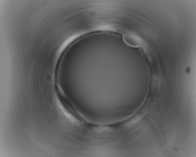 X0000092111331200709191320