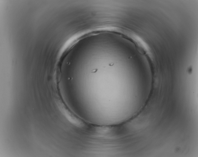 X0000092111332200709191320