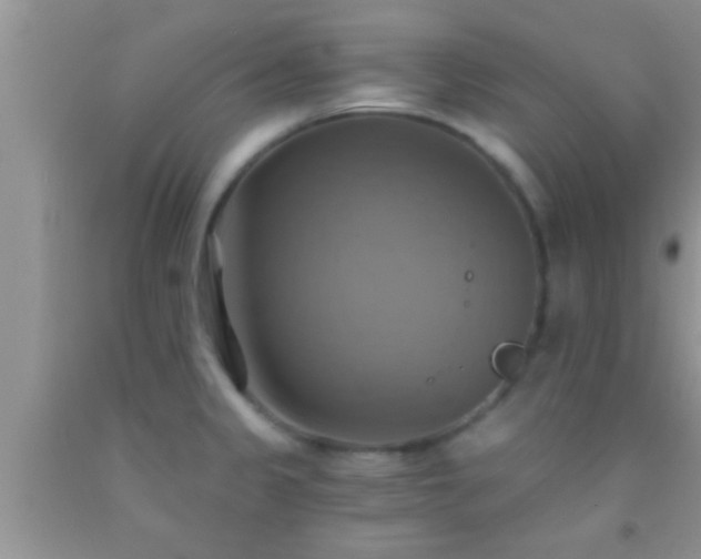 X0000092111333200709191320