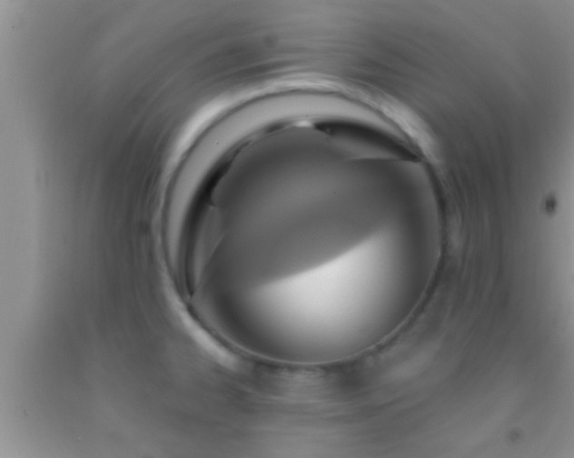 X0000092111334200709191320