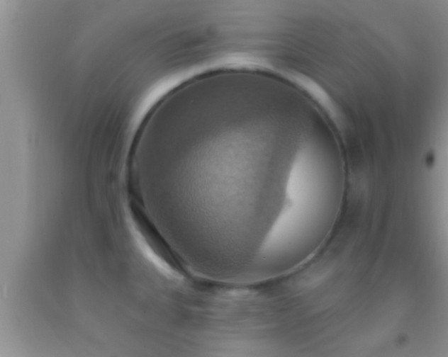 X0000092111335200709191320