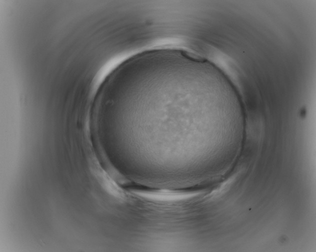 X0000092111336200709191320