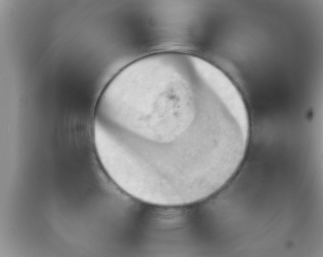 X0000092111338200709191320