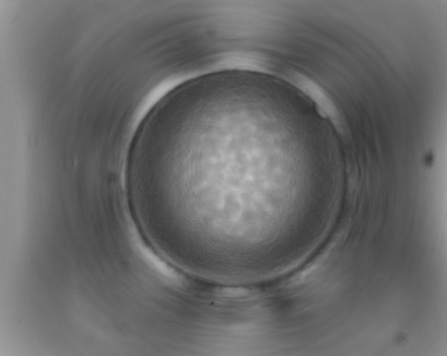 X0000092111339200709191320