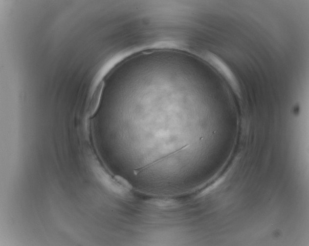 X0000092111340200709191320