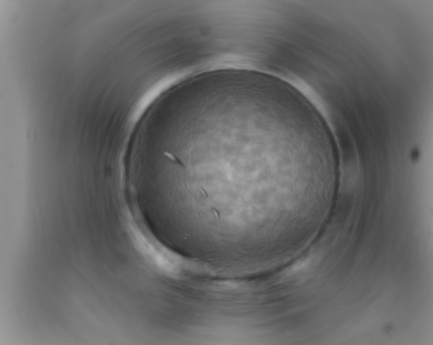 X0000092111341200709191320