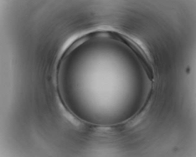 X0000092111342200709191320