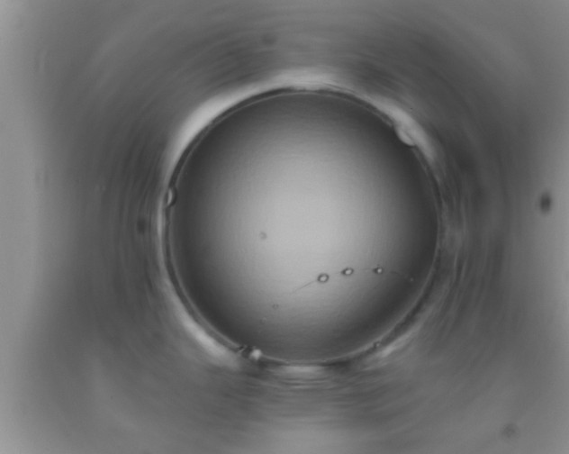 X0000092111343200709191320