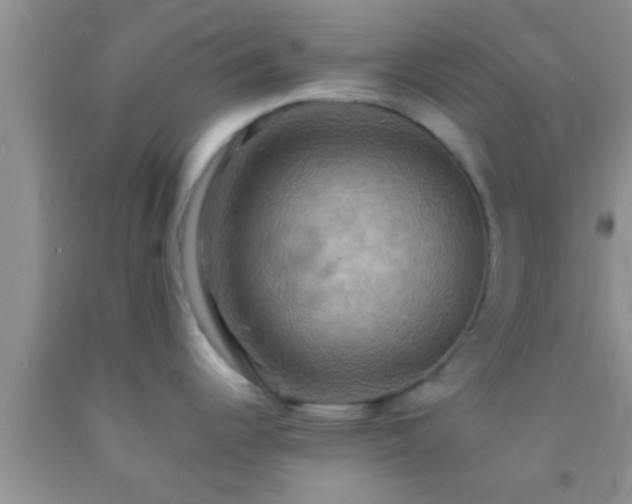 X0000092111344200709191320