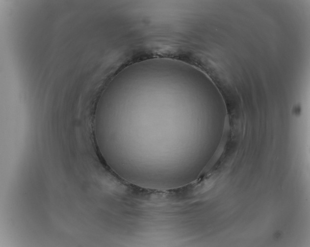 X0000092111345200709191320