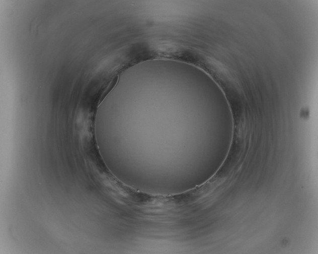 X0000092111346200709191320