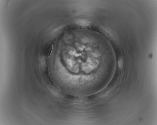 X0000092111347200709191320