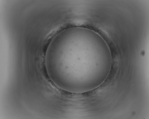 X0000092111349200709191319