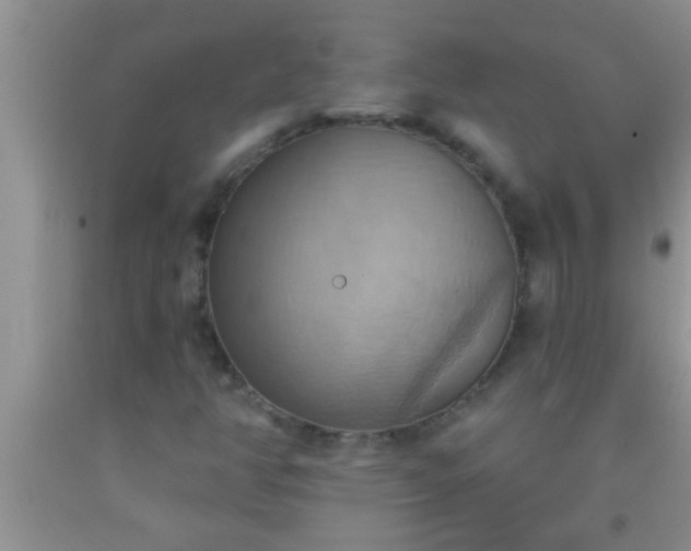 X0000092111350200709191319