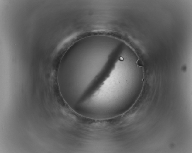 X0000092111351200709191319