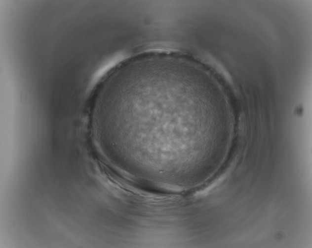 X0000092111352200709191319