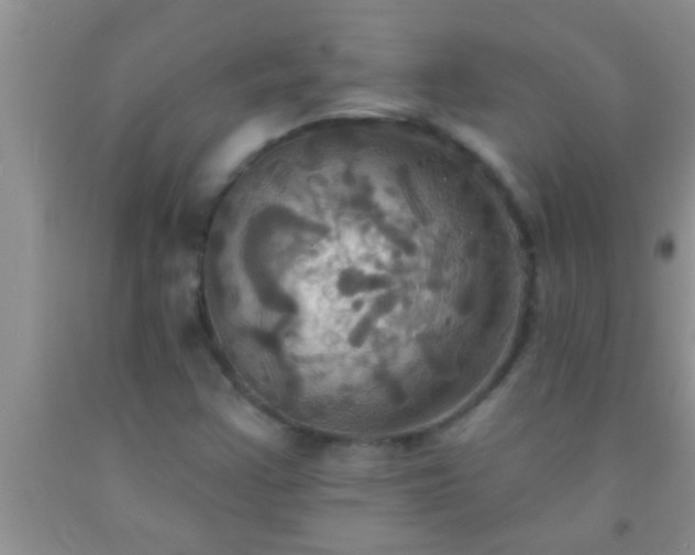 X0000092111355200709191319