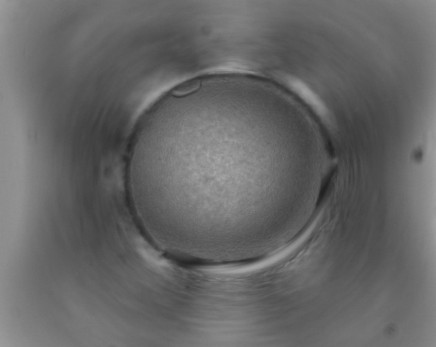 X0000092111356200709191319