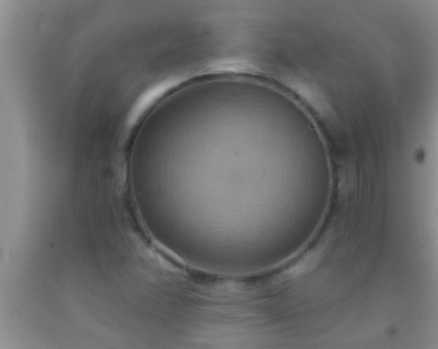 X0000092111358200709191319