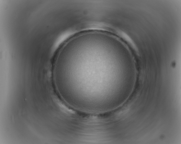 X0000092111360200709191319