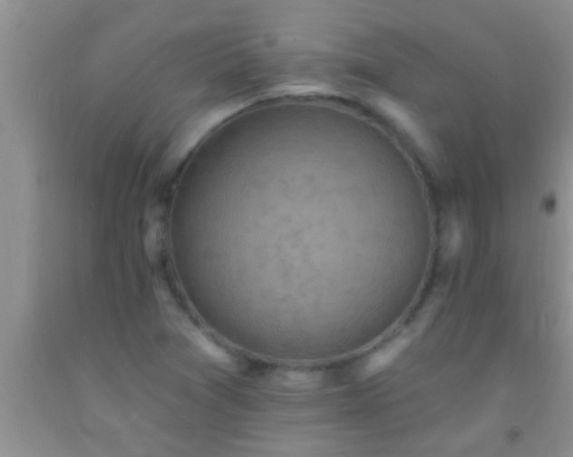 X0000092111361200709191319