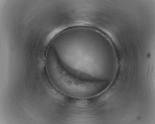 X0000092111363200709191319