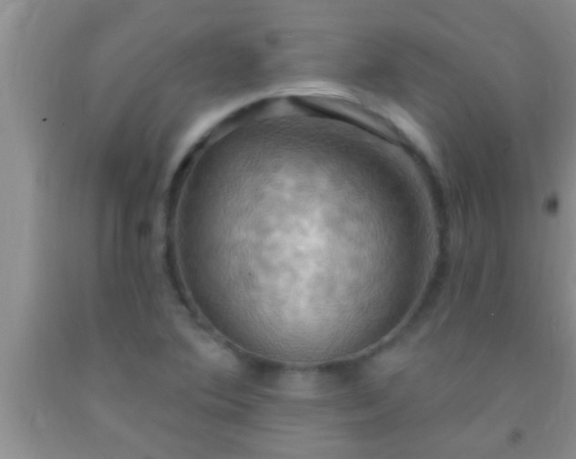 X0000092111364200709191319