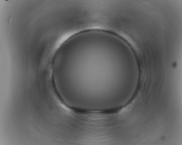 X0000092111367200709191319