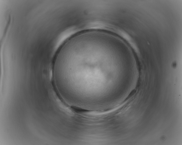 X0000092111368200709191319