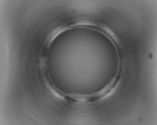 X0000092111369200709191319