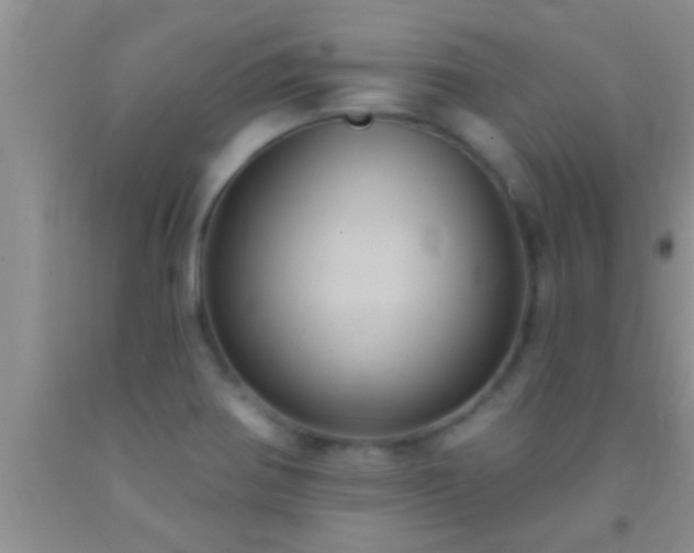 X0000092111370200709191319