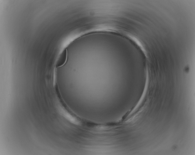 X0000092111371200709191319