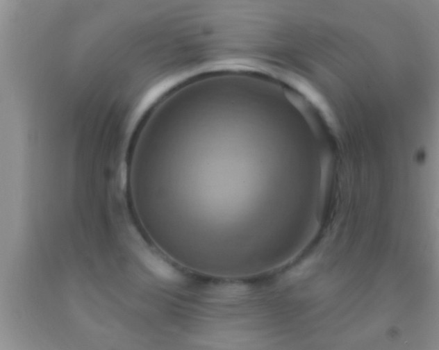 X0000092111372200709191319