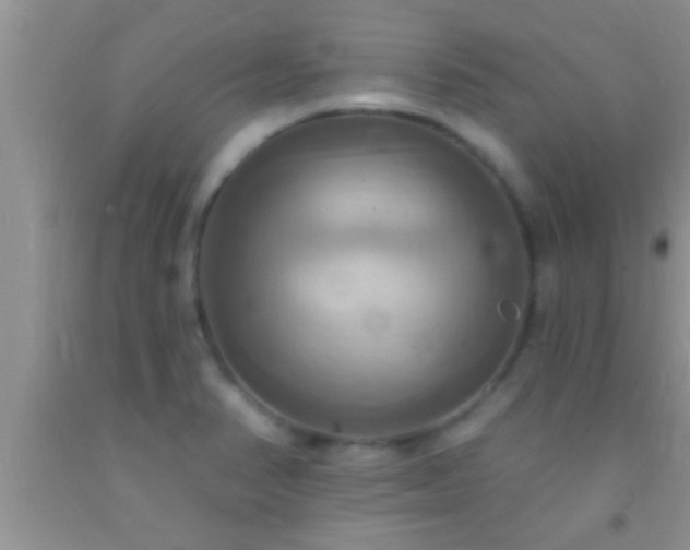 X0000092111374200709191319