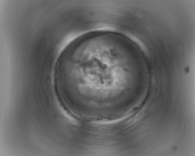 X0000092111375200709191319