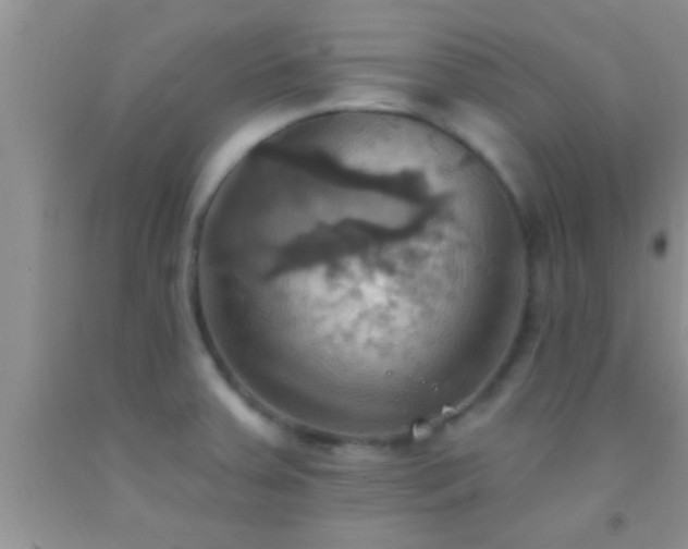 X0000092111379200709191319